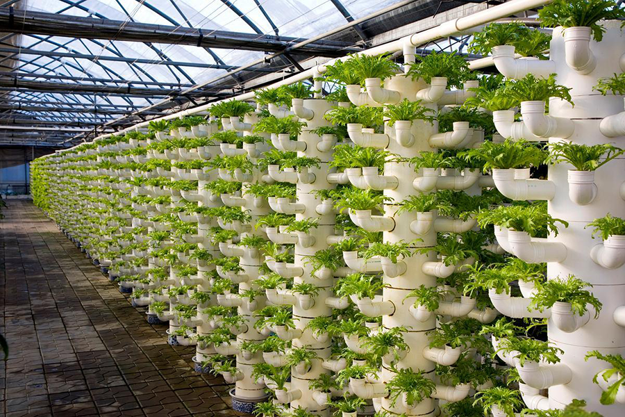 aafc27f5-aed9-4551-a488-2496d2feb3c0.png aafc27f5-aed9-4551-a488-2496d2feb3c0.png