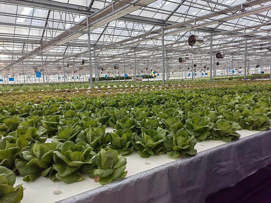 e267920abc9d8949ec9f5cbe8d92f786.png e267920abc9d8949ec9f5cbe8d92f786.png