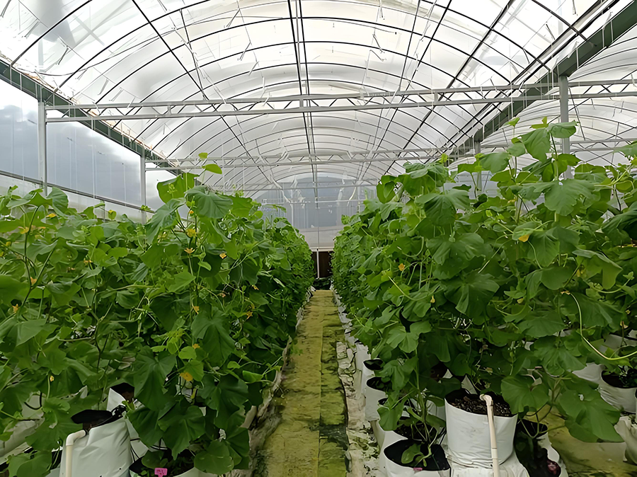 ccbd2137-bcba-41a3-b62e-83e62c1a6e08.png ccbd2137-bcba-41a3-b62e-83e62c1a6e08.png