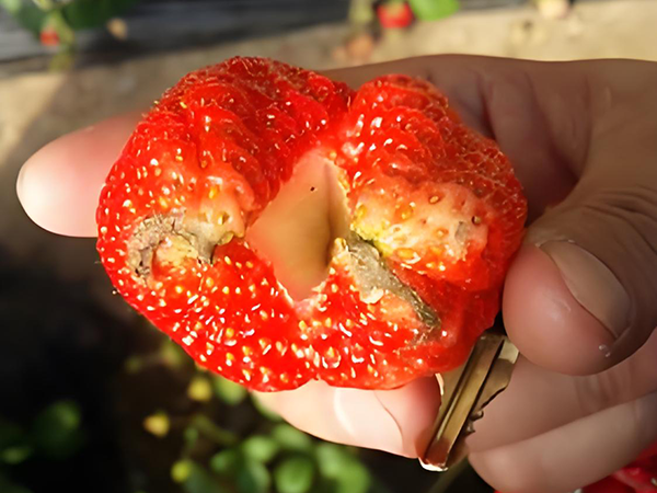 fd538f1f-028c-491e-a484-7cb8cde949e6.png fd538f1f-028c-491e-a484-7cb8cde949e6.png