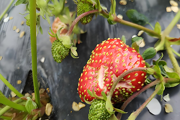 b48f6dbf-bb06-40e8-b28e-84ff0d7cc39b.png b48f6dbf-bb06-40e8-b28e-84ff0d7cc39b.png