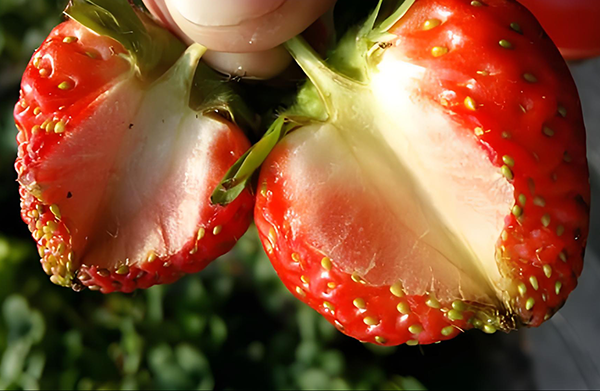 89495a21-c62e-44f5-a4b2-2c2a2208d364.png 89495a21-c62e-44f5-a4b2-2c2a2208d364.png