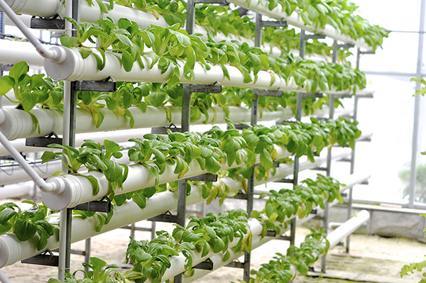 b54e0e34c799955d7226babaa6e67a2f.png b54e0e34c799955d7226babaa6e67a2f.png