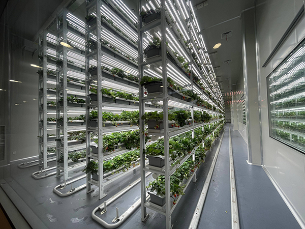 99e0d53064e32b895399ff2e0b0e80a8.png 99e0d53064e32b895399ff2e0b0e80a8.png