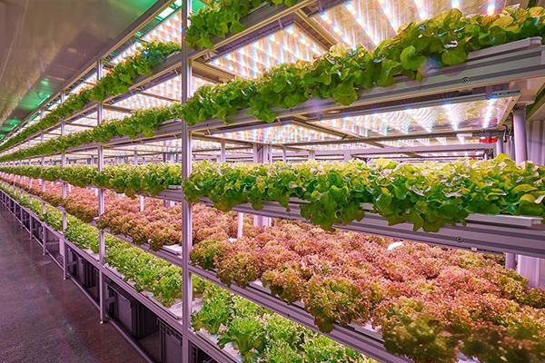 a0558c76-c88d-4c72-9bab-d121a8b69c82.png a0558c76-c88d-4c72-9bab-d121a8b69c82.png