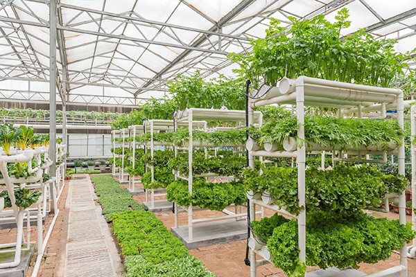 2b88b567-c8ac-47d3-8b4e-4b667e39dcfc.png 2b88b567-c8ac-47d3-8b4e-4b667e39dcfc.png