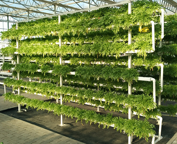 7405daf84a477d144bb47164d3374ca6.png 7405daf84a477d144bb47164d3374ca6.png