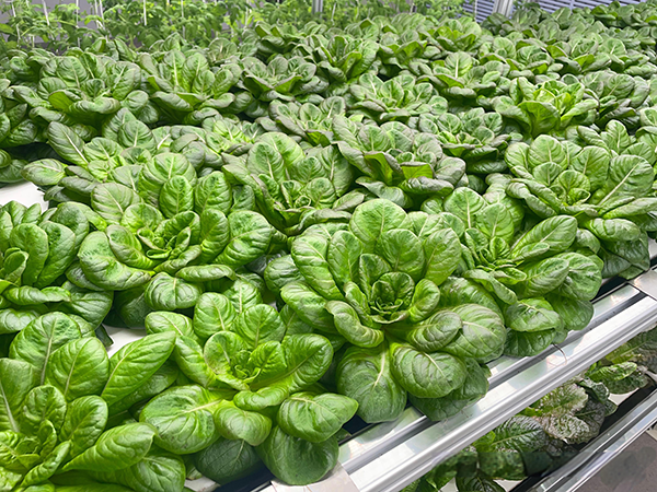 9f509419-44a3-46b8-a825-61161cf85558.png 9f509419-44a3-46b8-a825-61161cf85558.png