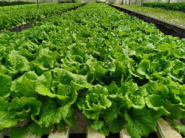 1488b48b743dd8f8983f840c45eb3225.png 1488b48b743dd8f8983f840c45eb3225.png