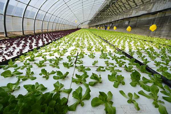 136bdc279541e14c09a137fc8a78f230.png 136bdc279541e14c09a137fc8a78f230.png