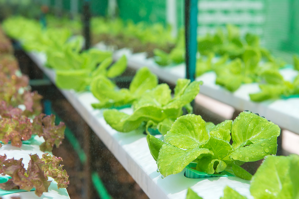 633ed284ec777e70d5317caf921fa73f.png 633ed284ec777e70d5317caf921fa73f.png