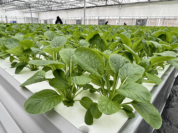 ffb00fcd951eb4037abc2e8e76660f33.png ffb00fcd951eb4037abc2e8e76660f33.png