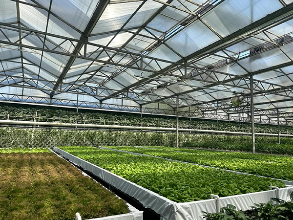 b70e2f51884350833d6c841b41062224.png b70e2f51884350833d6c841b41062224.png