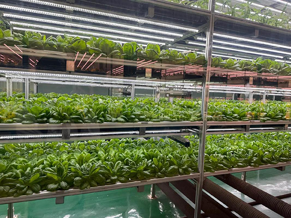 eb02f871b3430fb97dde70ea2afe9d35.png eb02f871b3430fb97dde70ea2afe9d35.png