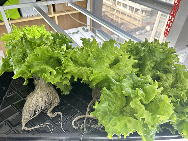 aacd978415be4660f231e6fb4e6fda4c.png aacd978415be4660f231e6fb4e6fda4c.png