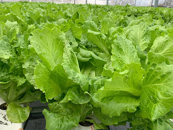 f1ad638a9397a1ecb9ddd192236e48dd.png f1ad638a9397a1ecb9ddd192236e48dd.png