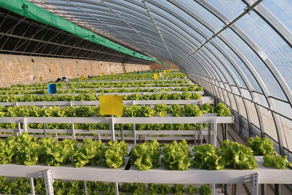 f5292899975abe793ec1c0d9f63fdf63.png f5292899975abe793ec1c0d9f63fdf63.png