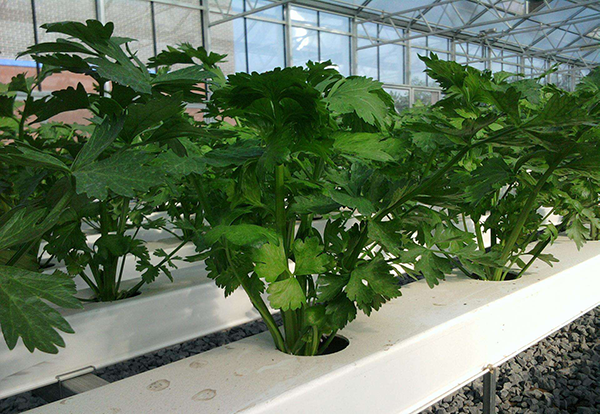 29553120ad49a318101277559e6169c5.png 29553120ad49a318101277559e6169c5.png