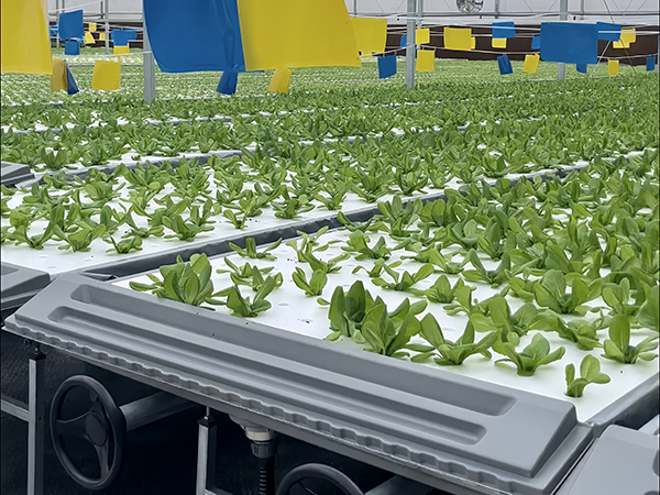 2ce27b8774cd84e8cd0f8022f81d216a.png 2ce27b8774cd84e8cd0f8022f81d216a.png