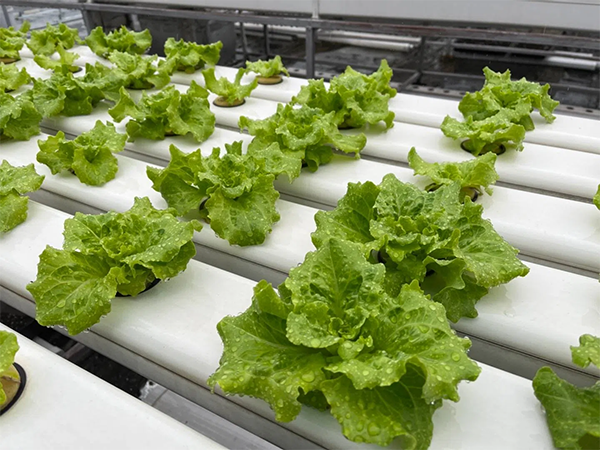 9f68a33443324675a43f6c205f778d9f.png 9f68a33443324675a43f6c205f778d9f.png