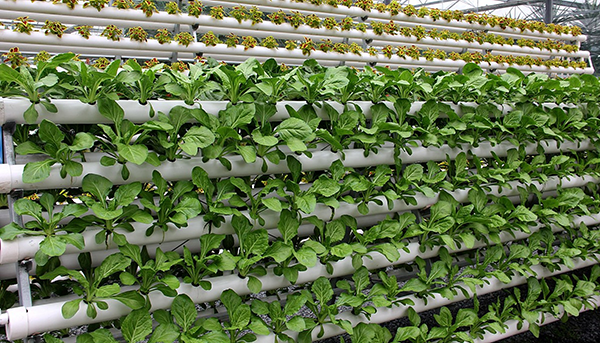 3643a7a8670cb101ce53351e7ff7d9df.png 3643a7a8670cb101ce53351e7ff7d9df.png