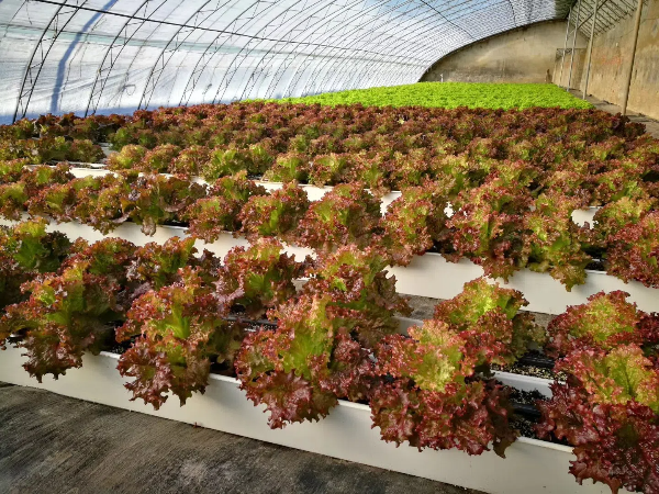 9bf4d95e6e9b342d122134cd3aa639e7.png 9bf4d95e6e9b342d122134cd3aa639e7.png