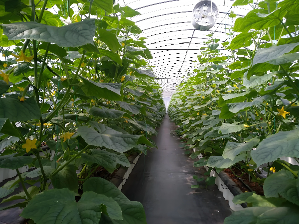 f1677917-4441-4da3-806f-90301953c95d.png f1677917-4441-4da3-806f-90301953c95d.png