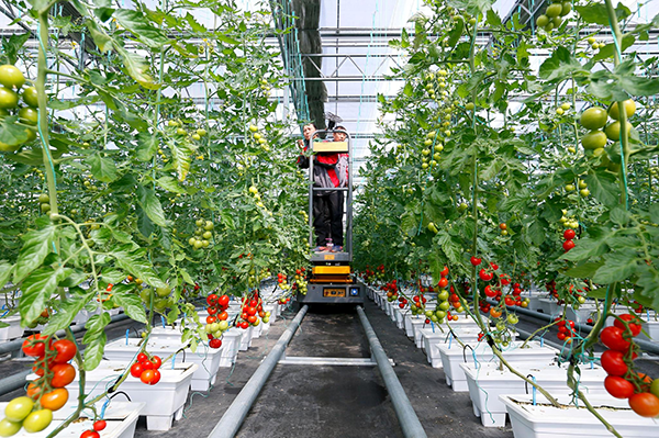 15c53fcb1fc6ab9d025501581b54a3a4.png 15c53fcb1fc6ab9d025501581b54a3a4.png