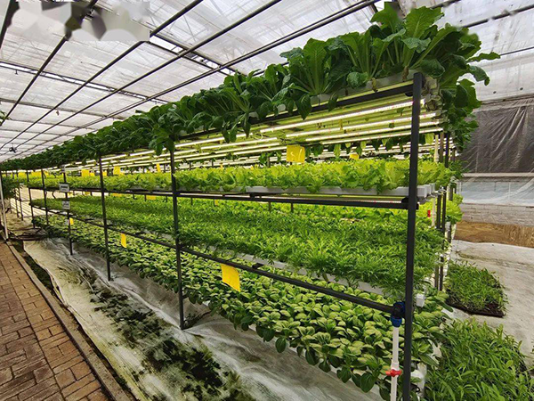 fc5a39bf69b2732ddd1cc915fb7aa571.png fc5a39bf69b2732ddd1cc915fb7aa571.png