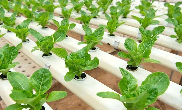 0b318402cab4cc2a66db622fcbaaa156.png 0b318402cab4cc2a66db622fcbaaa156.png