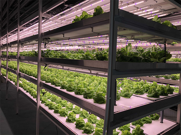 e3aba2844d9a53a2de50a4d9111b0f60.png e3aba2844d9a53a2de50a4d9111b0f60.png