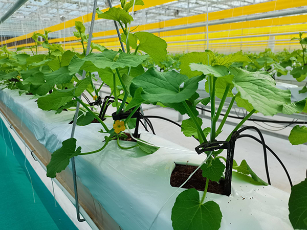 5fa2b5a2e2e4fe41743d068832996bb6.png 5fa2b5a2e2e4fe41743d068832996bb6.png