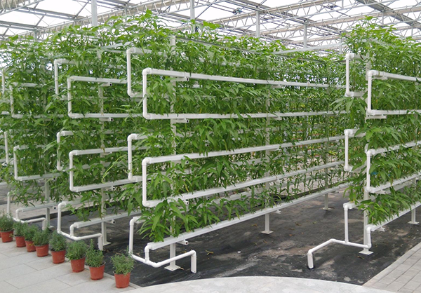 9fa493e3be9c7182efcd81d5aab5ae3b.png 9fa493e3be9c7182efcd81d5aab5ae3b.png