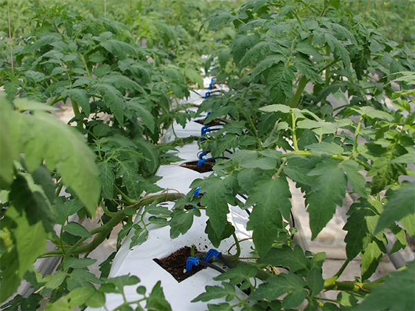 54fd6d869d595ac96228582b9368424f.png 54fd6d869d595ac96228582b9368424f.png