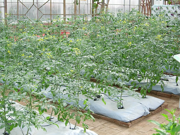 7663e848b8657065e6c4bb775290e4bf.png 7663e848b8657065e6c4bb775290e4bf.png