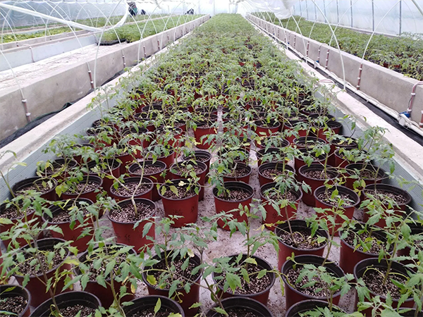 7c344c641c1c71ac4e9989ff871d8025.png 7c344c641c1c71ac4e9989ff871d8025.png