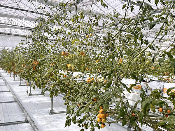 6fd11145f8aeffd1de15edb895493ce7.png 6fd11145f8aeffd1de15edb895493ce7.png