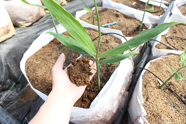 7b4a52cf555521bcaf3508d922604274.png 7b4a52cf555521bcaf3508d922604274.png