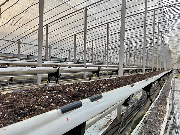 4b2098ae-4880-4266-b643-02f8bde1b223.png 4b2098ae-4880-4266-b643-02f8bde1b223.png