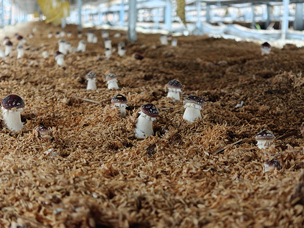 4e712229a32ec874.png 4e712229a32ec874.png