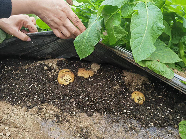 5baf5f89e82f1e2a157de8502e40c640.png 5baf5f89e82f1e2a157de8502e40c640.png