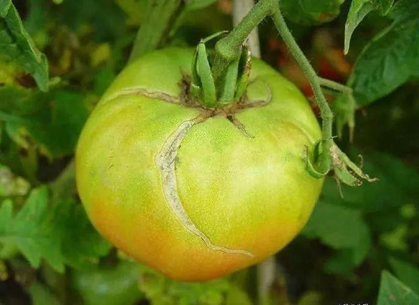 fdbf285b57d3627a89fc6cc40a737086.png fdbf285b57d3627a89fc6cc40a737086.png