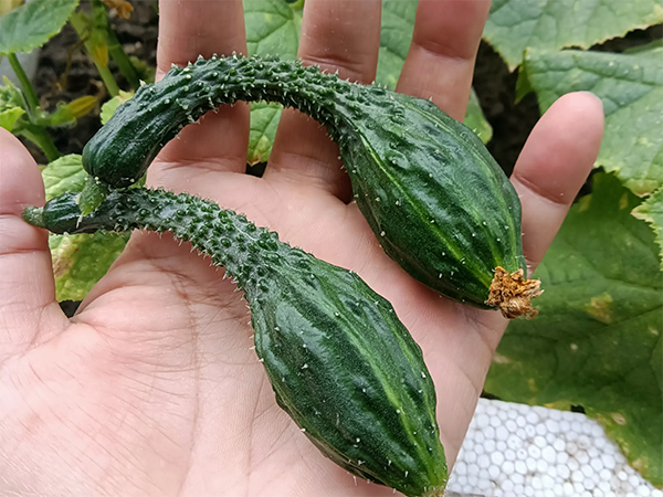 d9ac9548e88fcc71365c5a199f7e2ae1.png d9ac9548e88fcc71365c5a199f7e2ae1.png