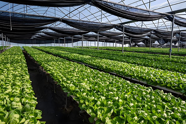 d4041695f0803d1f6136d4b825c03ea7.png d4041695f0803d1f6136d4b825c03ea7.png