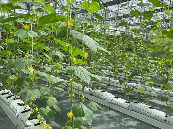 2a6ee34c71072b1b5cdab7a553ce41fd.png 2a6ee34c71072b1b5cdab7a553ce41fd.png