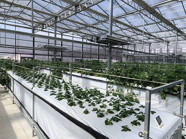 ddde127e3761093cbc70afc6bf79975b.png ddde127e3761093cbc70afc6bf79975b.png