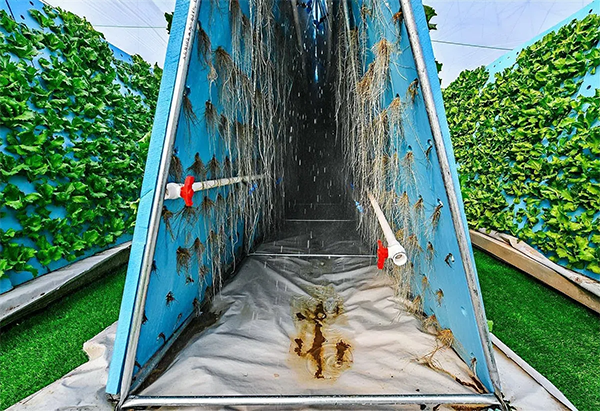 6c25b44e7416d0de722f2928958ca725.png 6c25b44e7416d0de722f2928958ca725.png