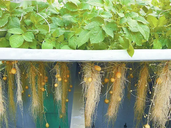 08a633748ba3a9fa8a037430d8f17a4c.png 08a633748ba3a9fa8a037430d8f17a4c.png