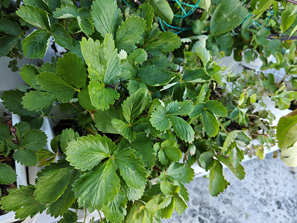 07691226b6b71a9f35dd69bf440360be.png 07691226b6b71a9f35dd69bf440360be.png