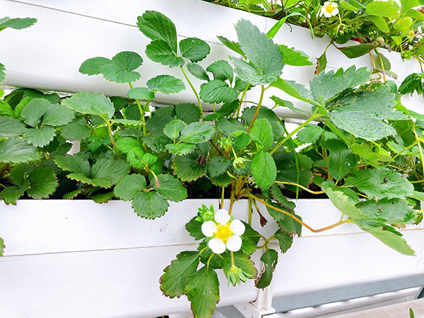 72523800e80c4b67ff23509475ee9d3b.png 72523800e80c4b67ff23509475ee9d3b.png